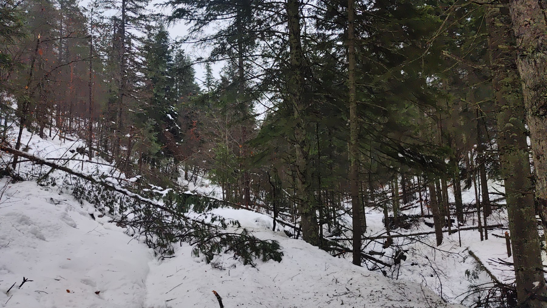 Otežan pristup DTV odašiljačima na Kraljici i Majevici odgađa odleđivanje antena